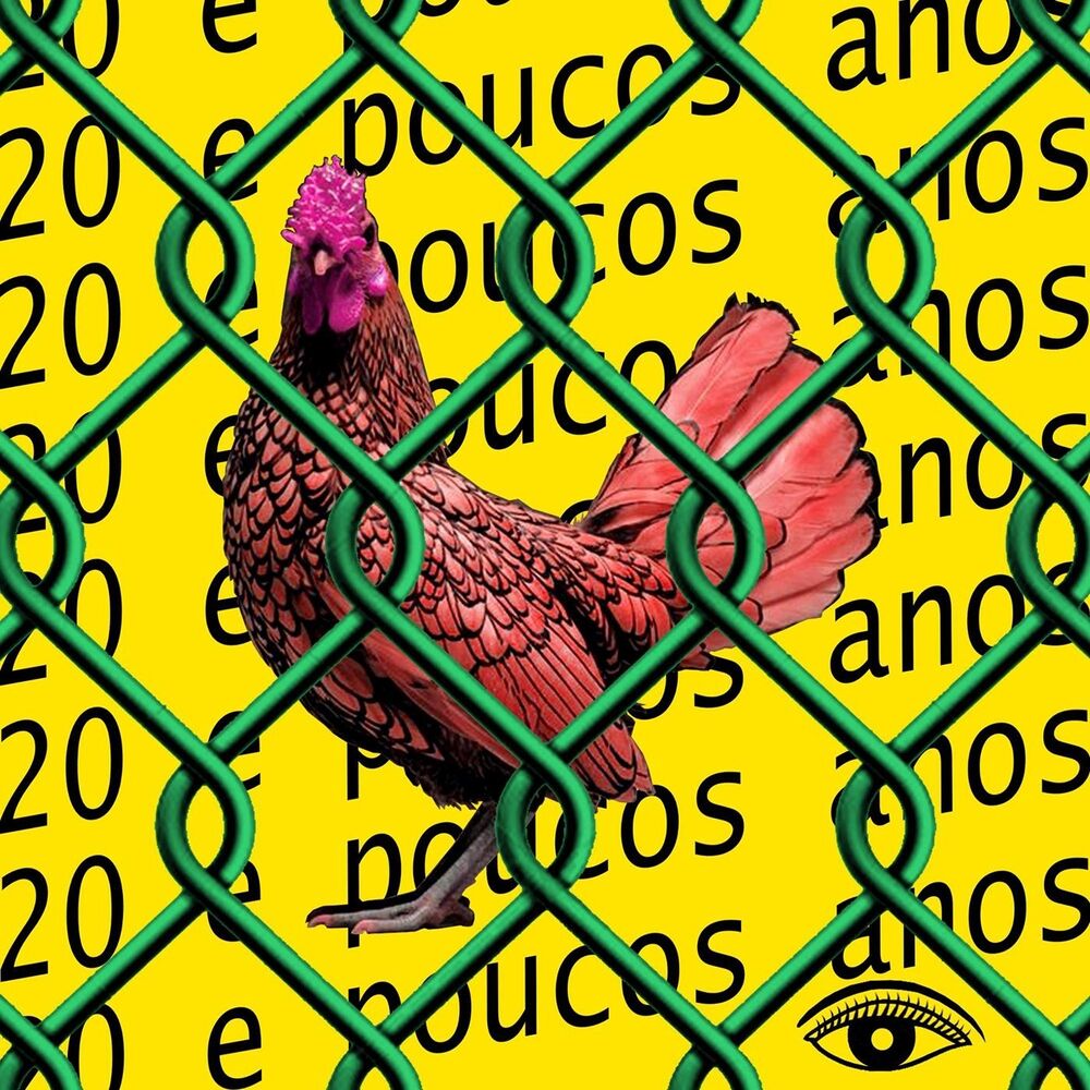 Picture of 20 e Poucos Anos