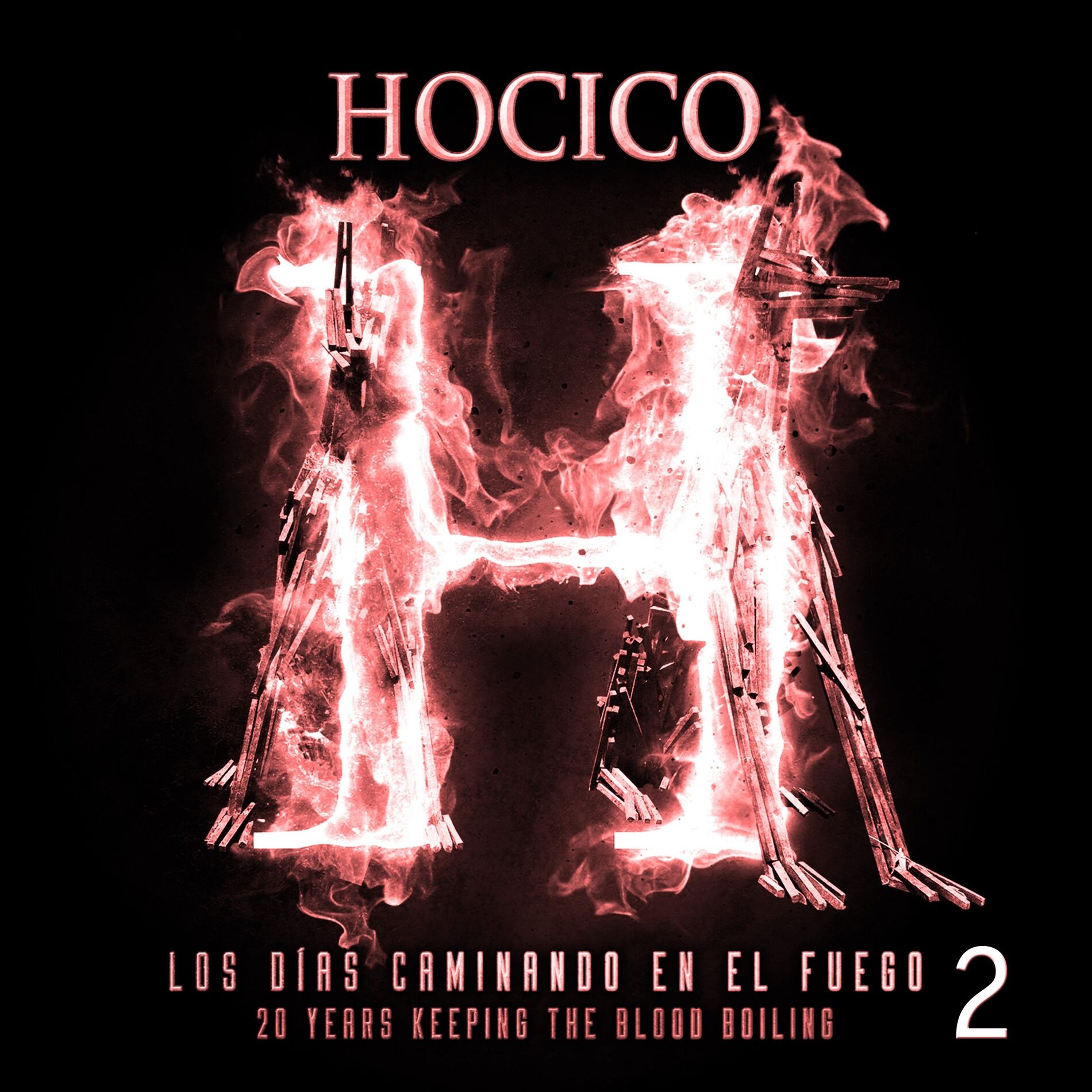 Album cover of Los Días Caminando en el Fuego 2