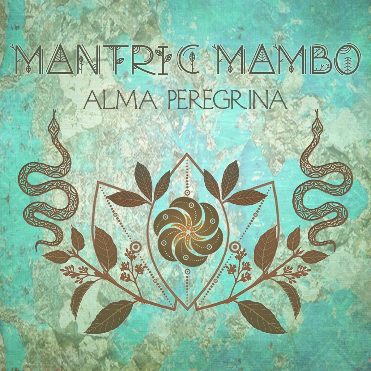 Album cover of Alma Peregrina