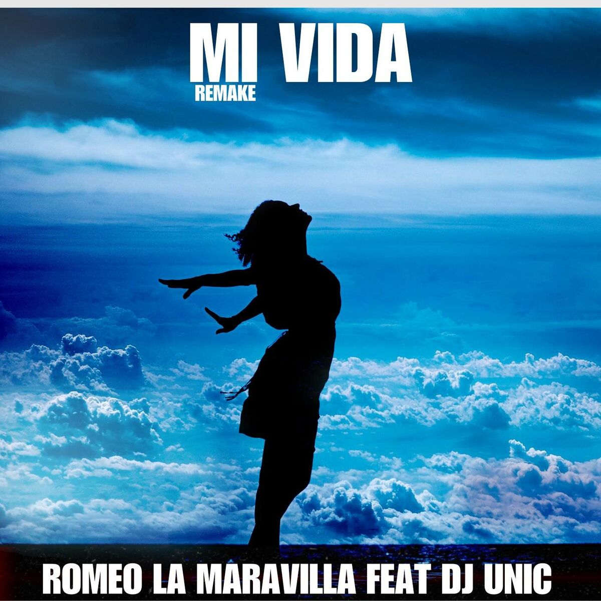 Album cover of Mi Vida (Remake)