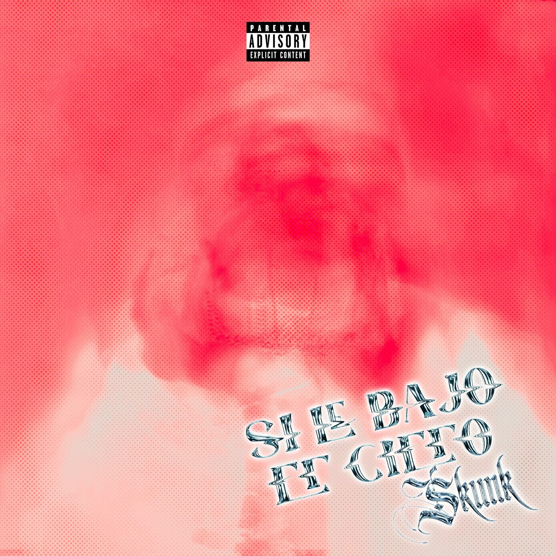 Album cover of Si Le Bajo El Cielo