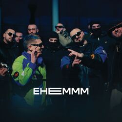 Cover of EHEMM