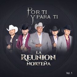 Cover of Por Ti y Para Ti, Vol. 1