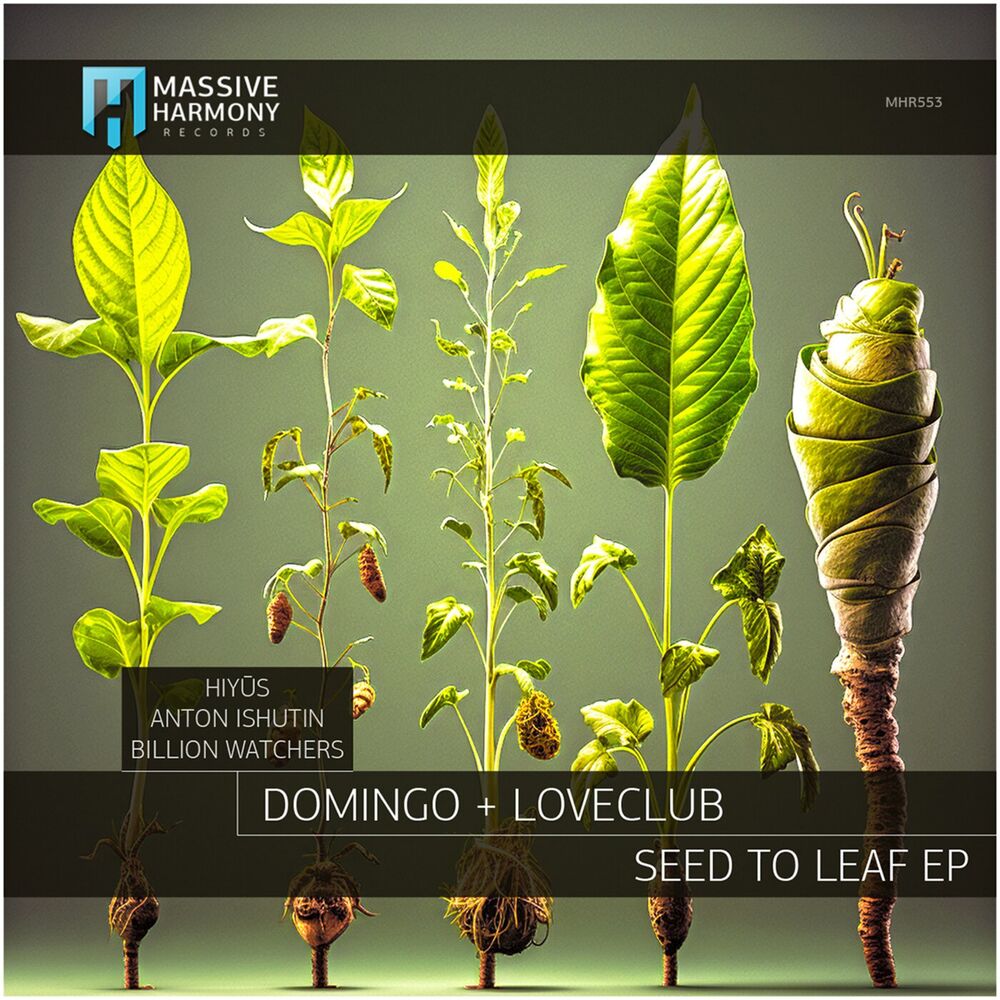 Picture of Seed to Leaf