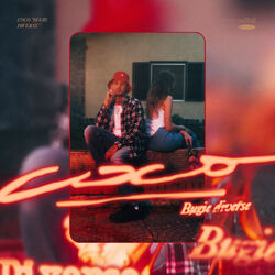Cover of Bugie Diverse
