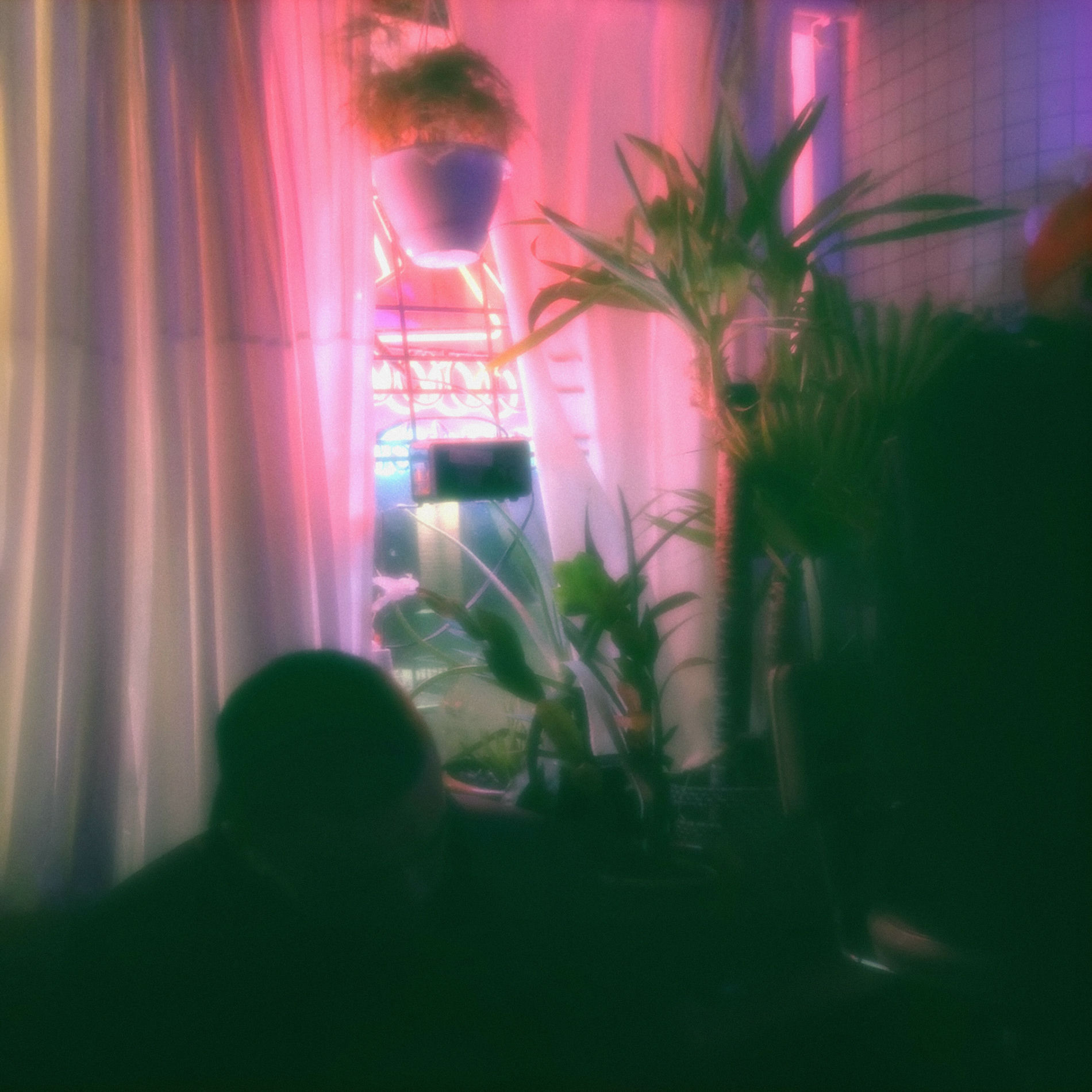 Album cover of recluse