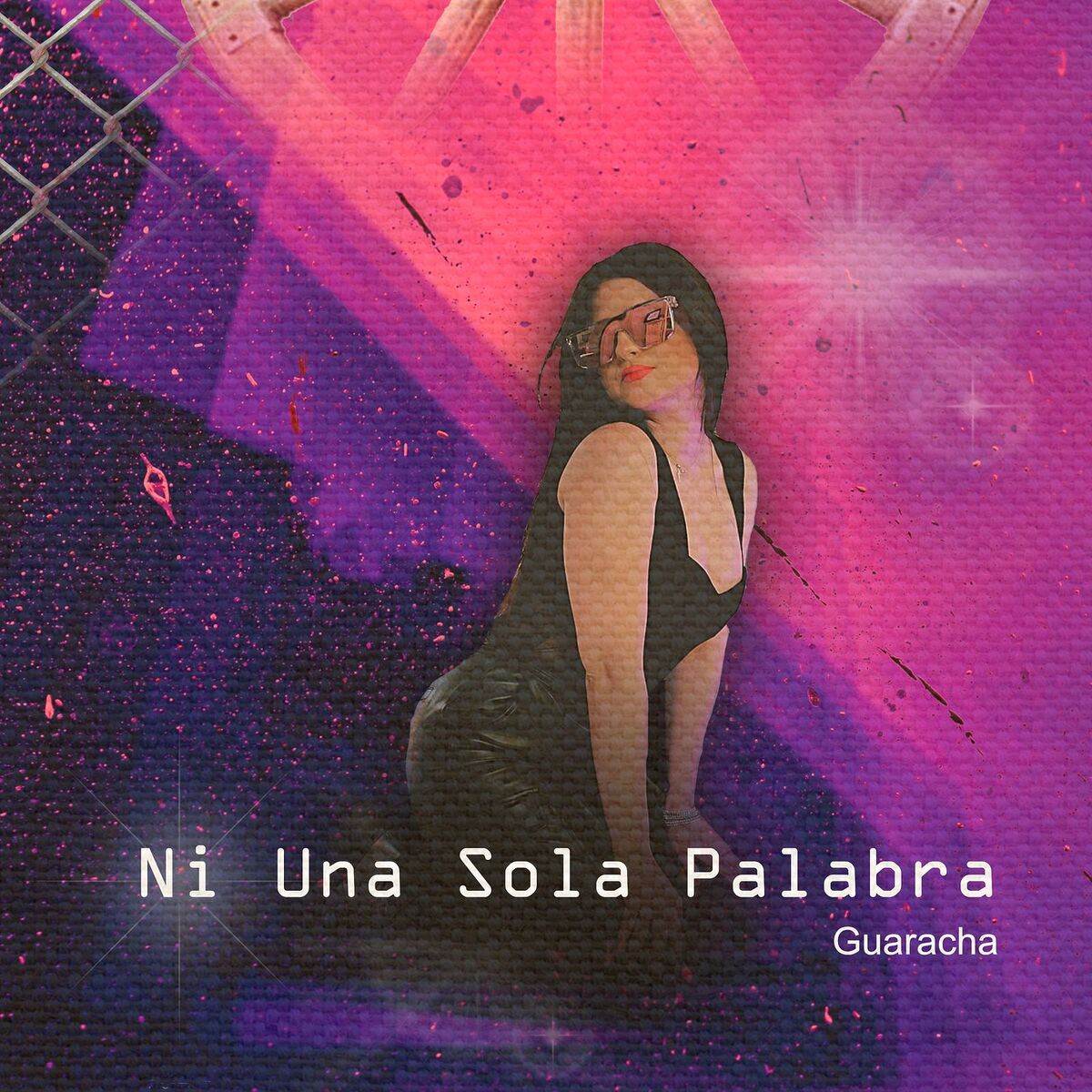 Album cover of Ni Una Sola Palabra (Guaracha)