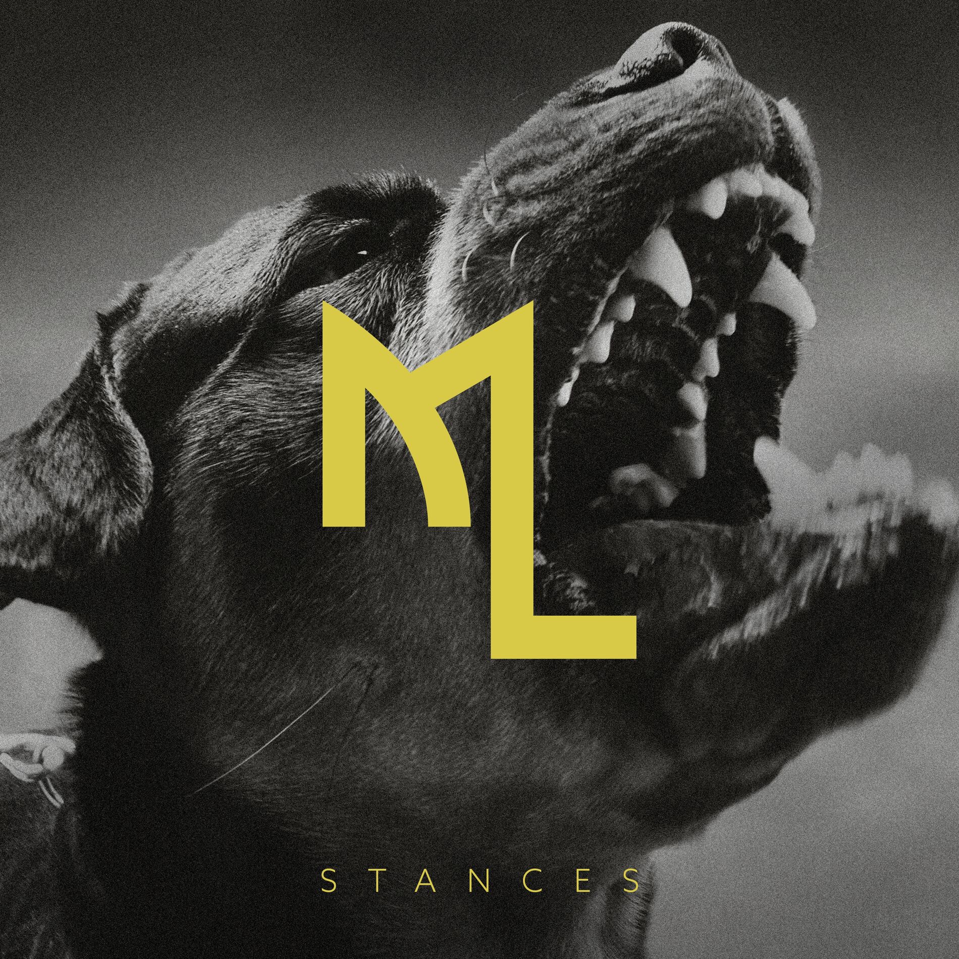 Album cover of Stances