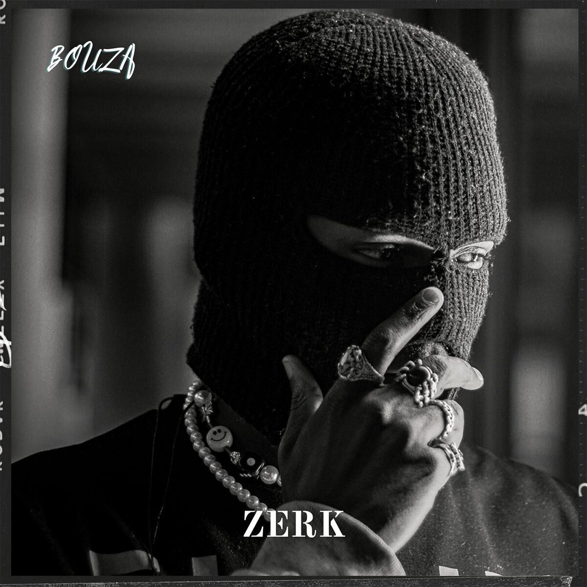 Album cover of Zerk