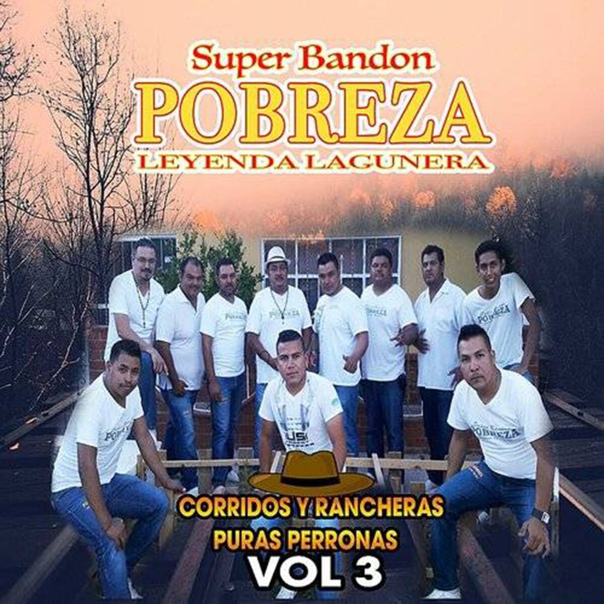 Album cover of Corridos Y Rancheras Puras Perronas Vol.3