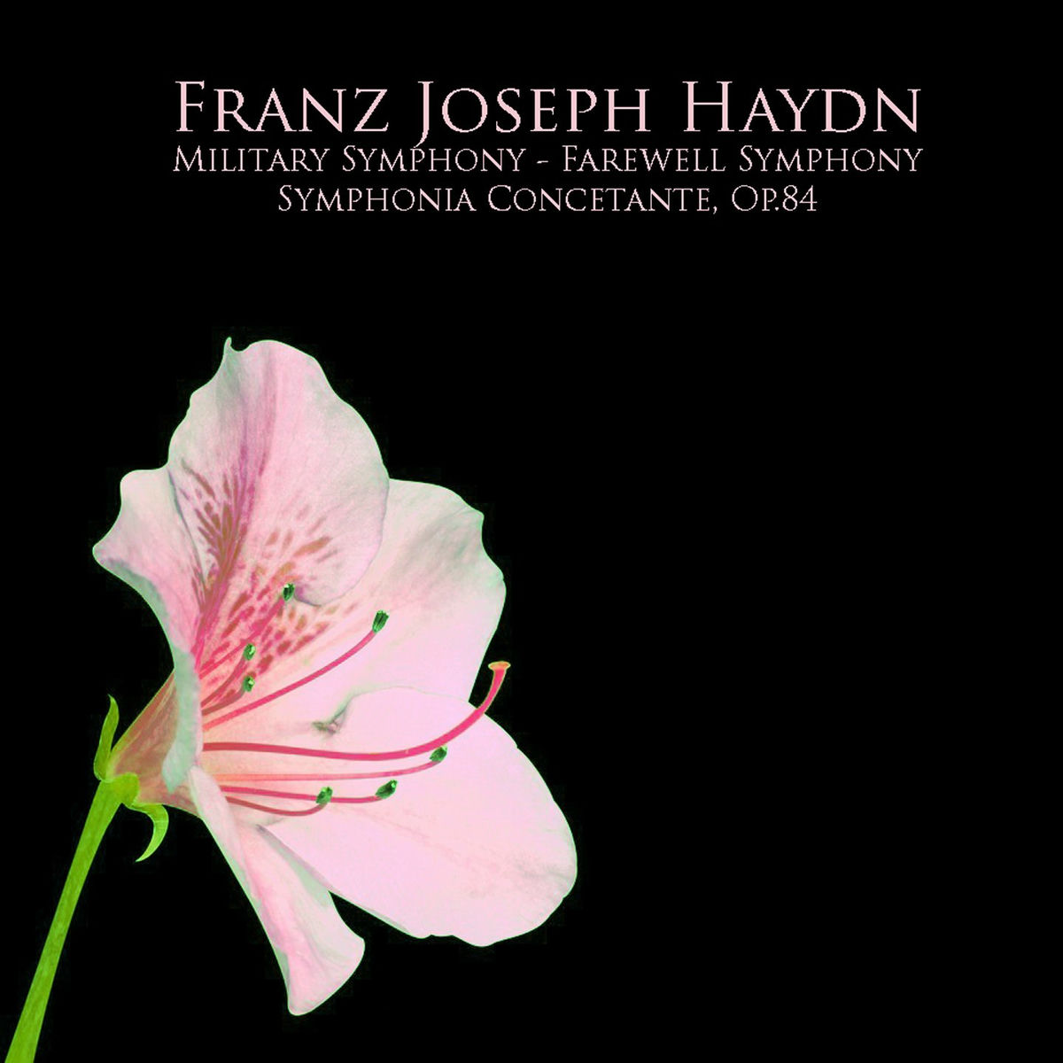 Album cover of Franz Joseph Haydn: Military Symphony