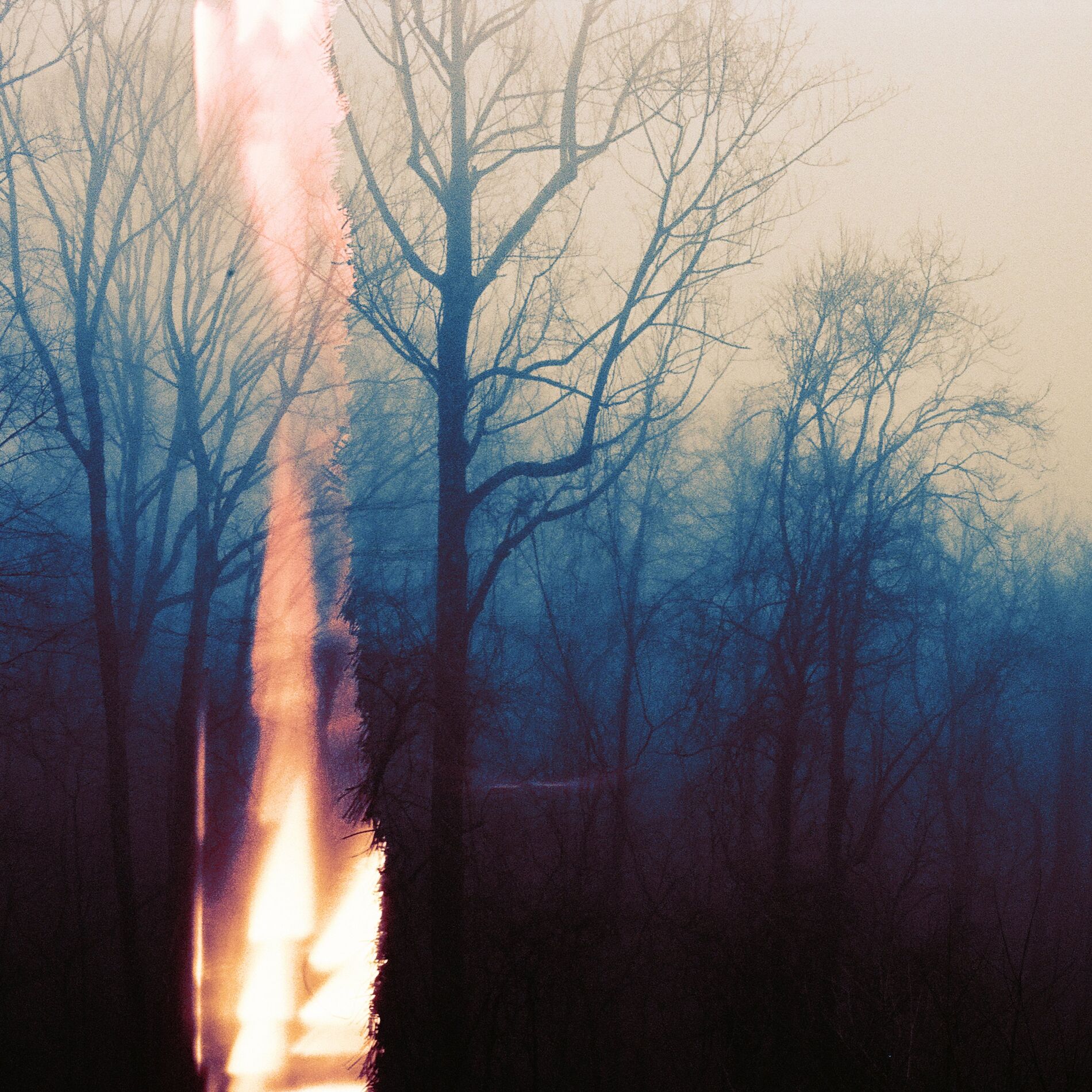 Album cover of Winte