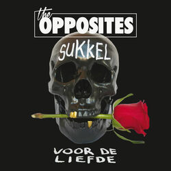 Cover of Sukkel Voor De Liefde