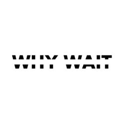 Cover of Why Wait