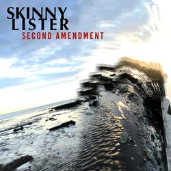 Cover of Second Amendment (Single Version)