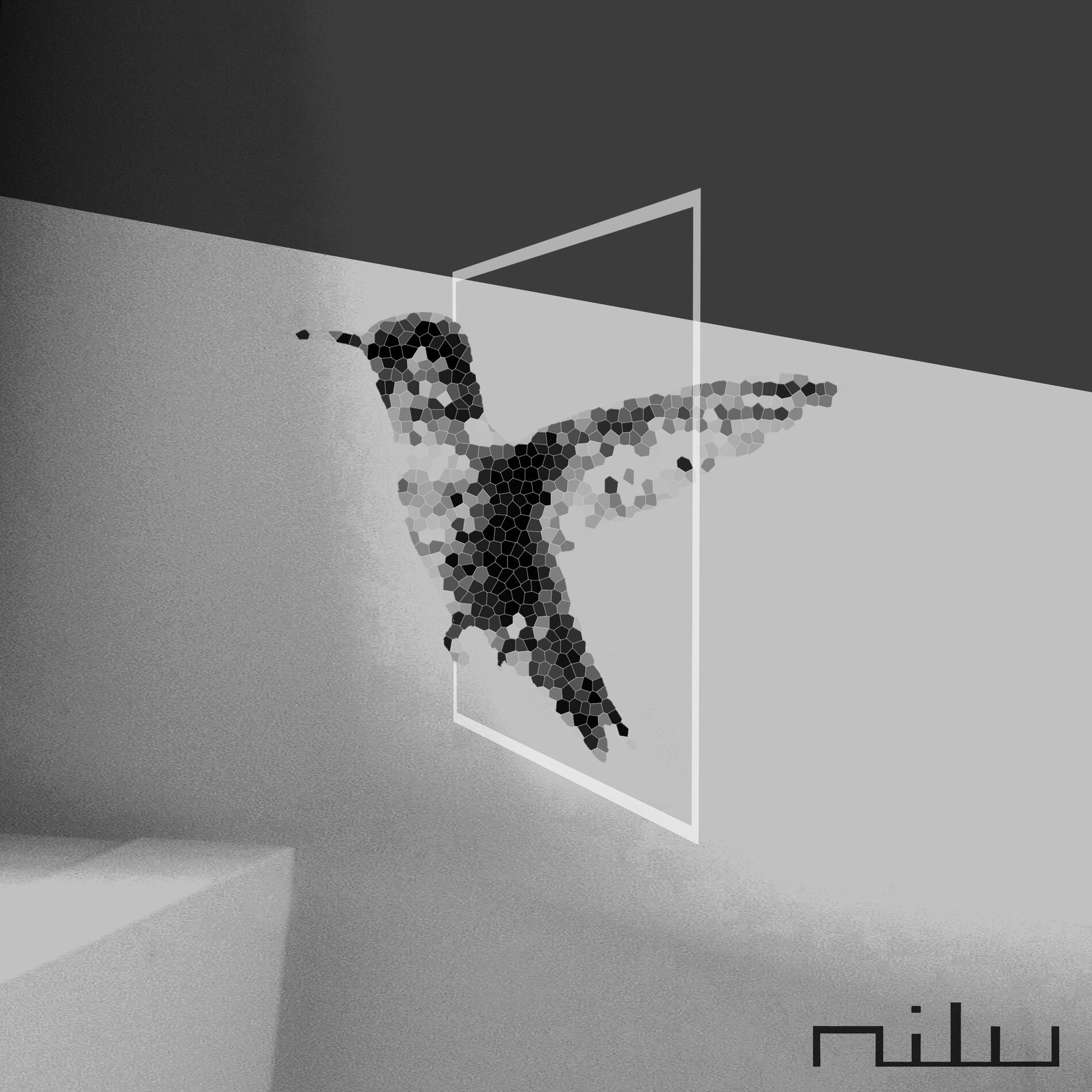 Album cover of Hummingbird