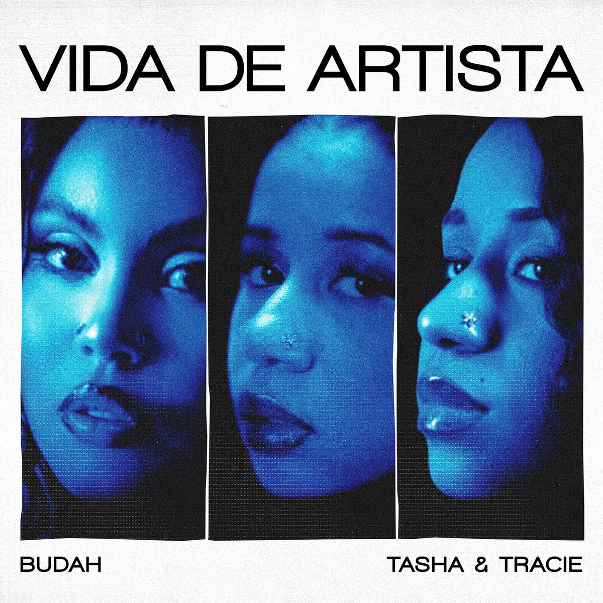 Album cover of VIDA DE ARTISTA