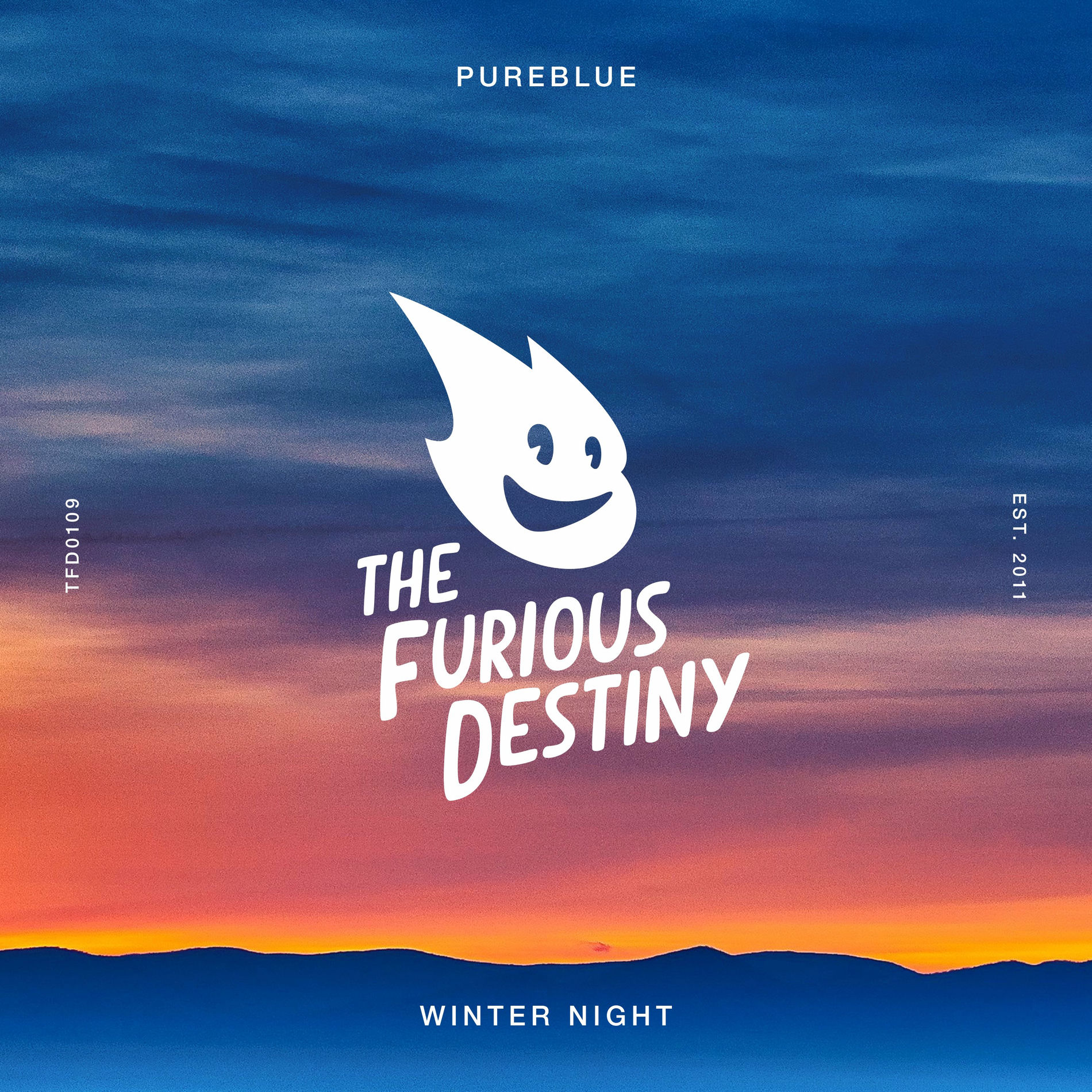 Album cover of Winter Night