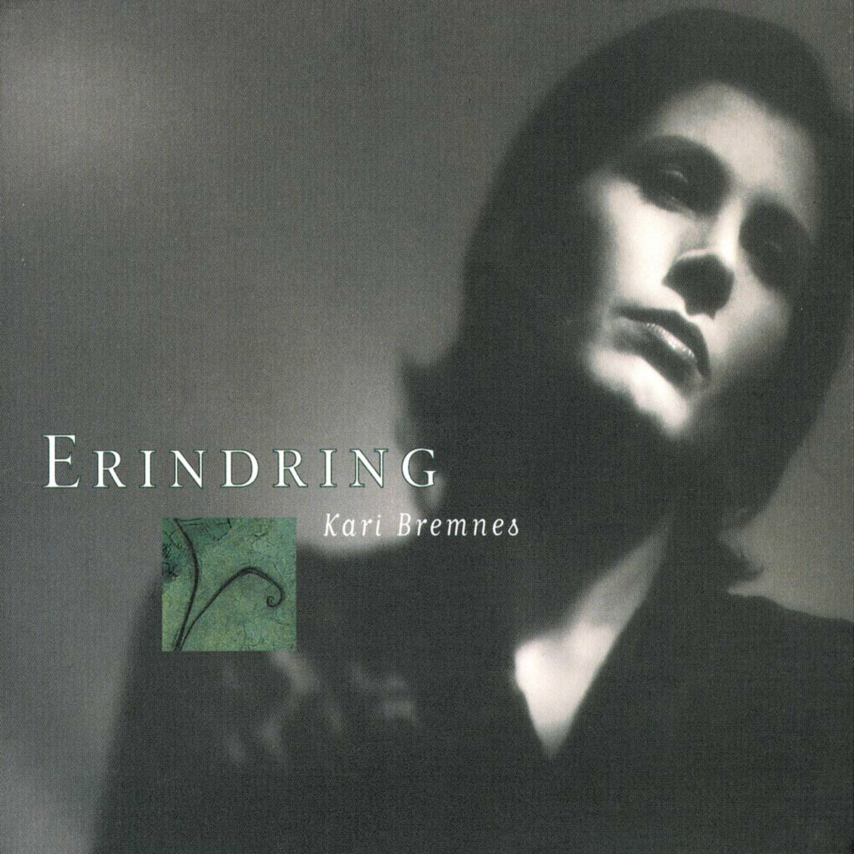 Album cover of Erindring