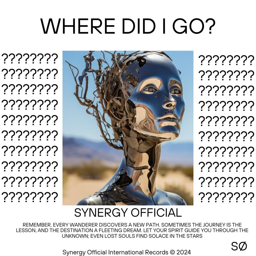 Picture of Where did i go?