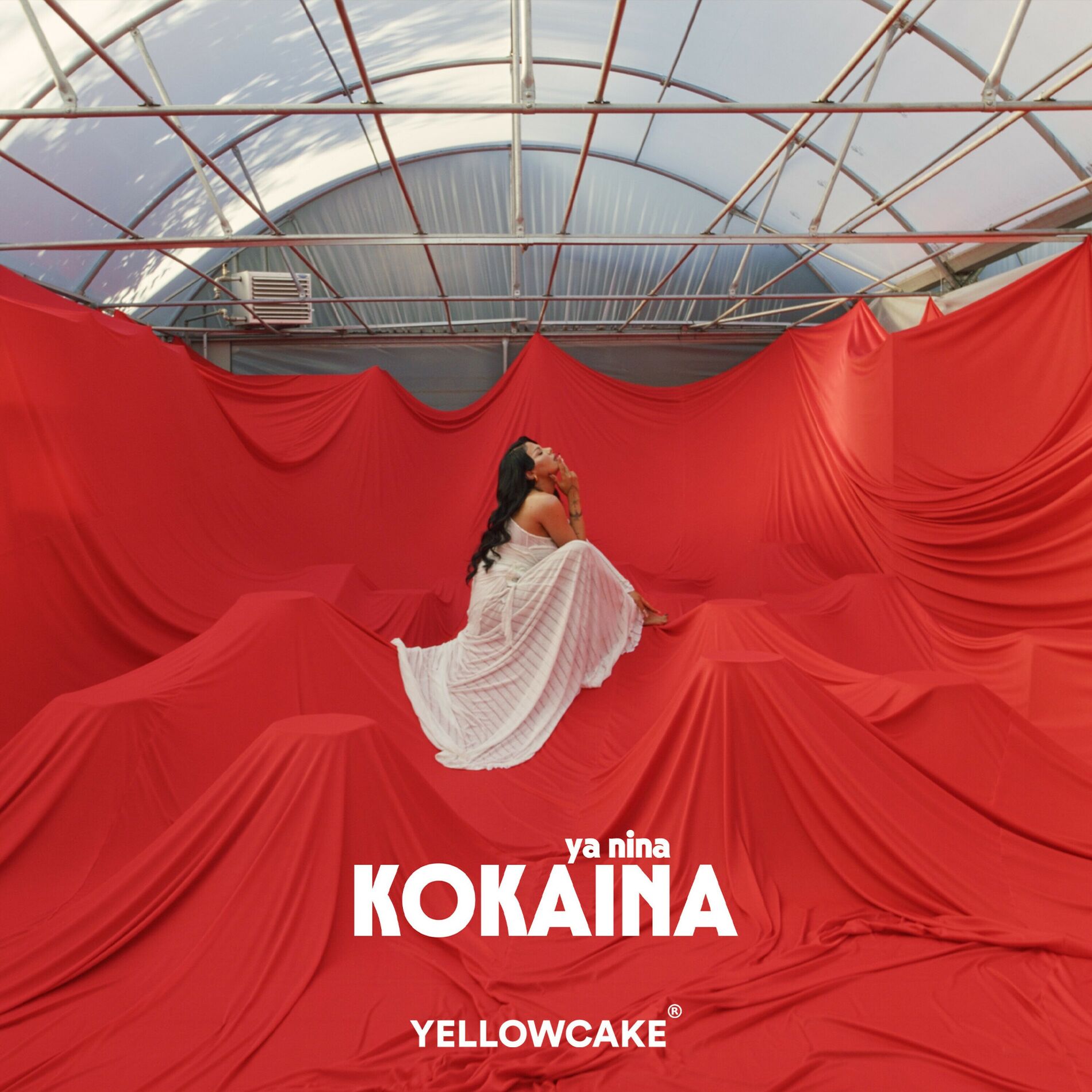 Album cover of KOKAINA