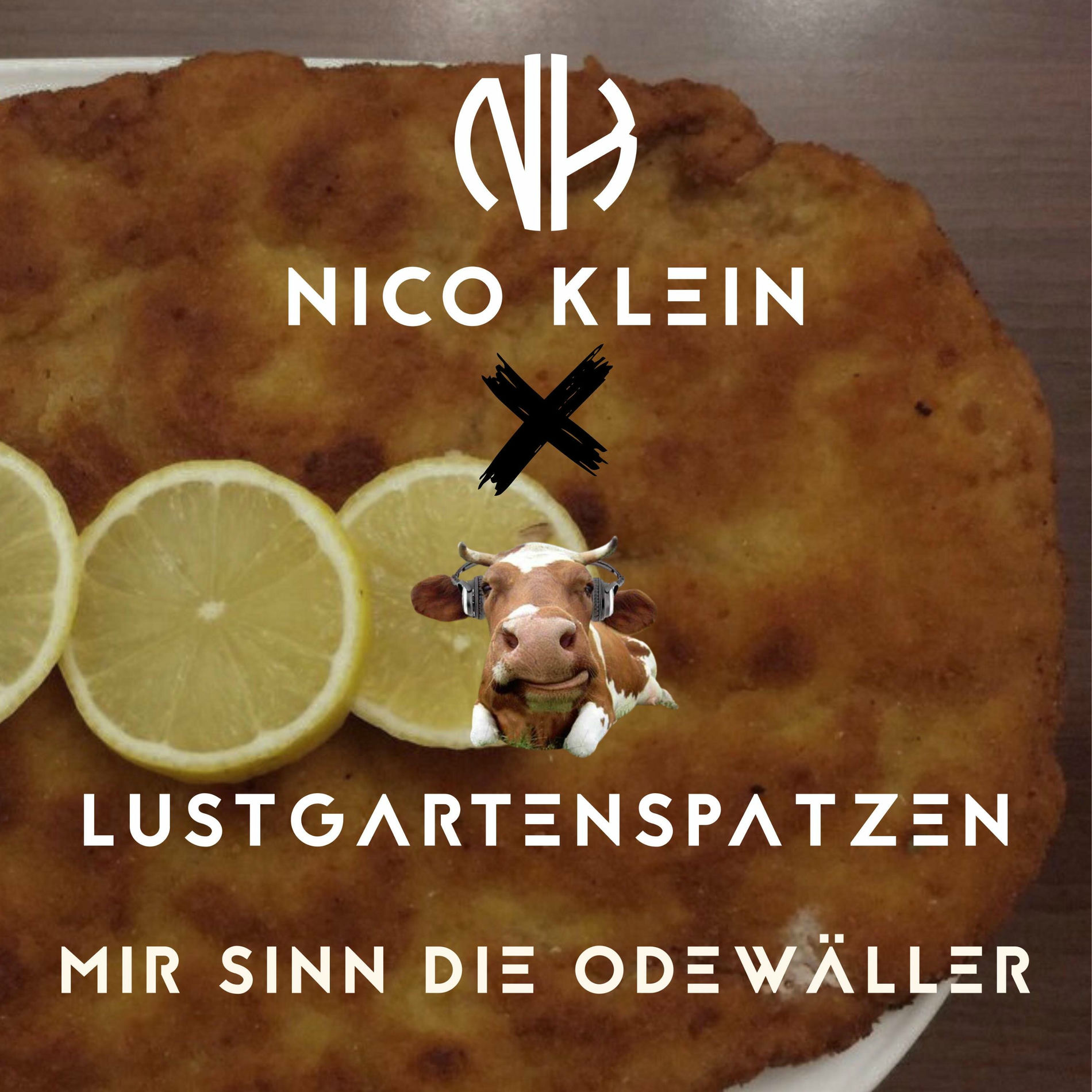 Album cover of Mir sinn die Odewäller