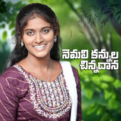Cover of Nemali Kannula Chinnadhana by undefined