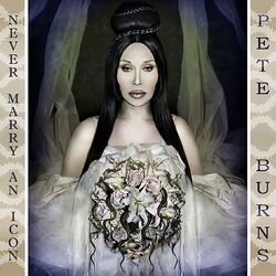 Cover of Never Marry An Icon
