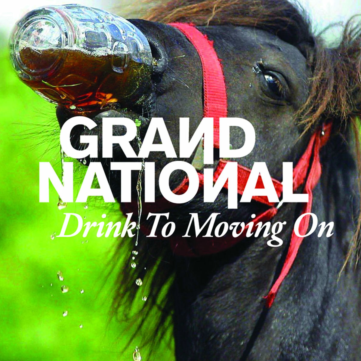 Album cover of Drink to Moving On