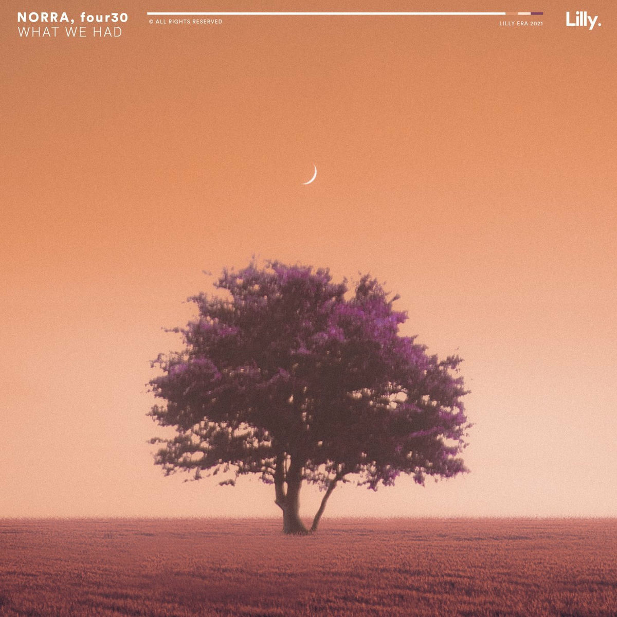 Album cover of What We Had