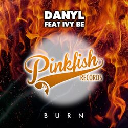 Cover of Burn