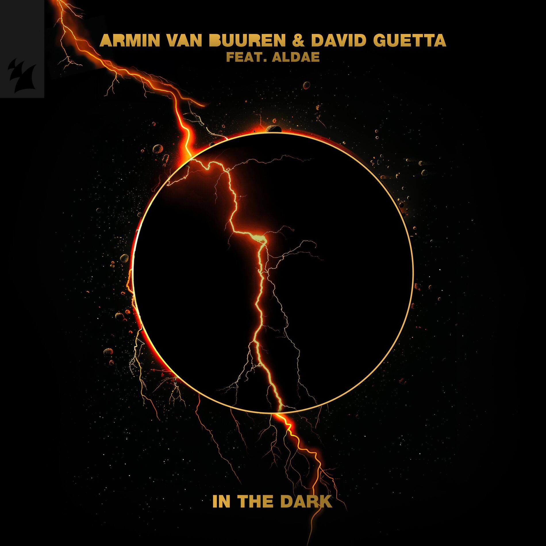Album cover of In The Dark