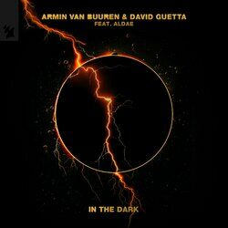Cover of In The Dark