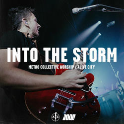 Cover of Into The Storm