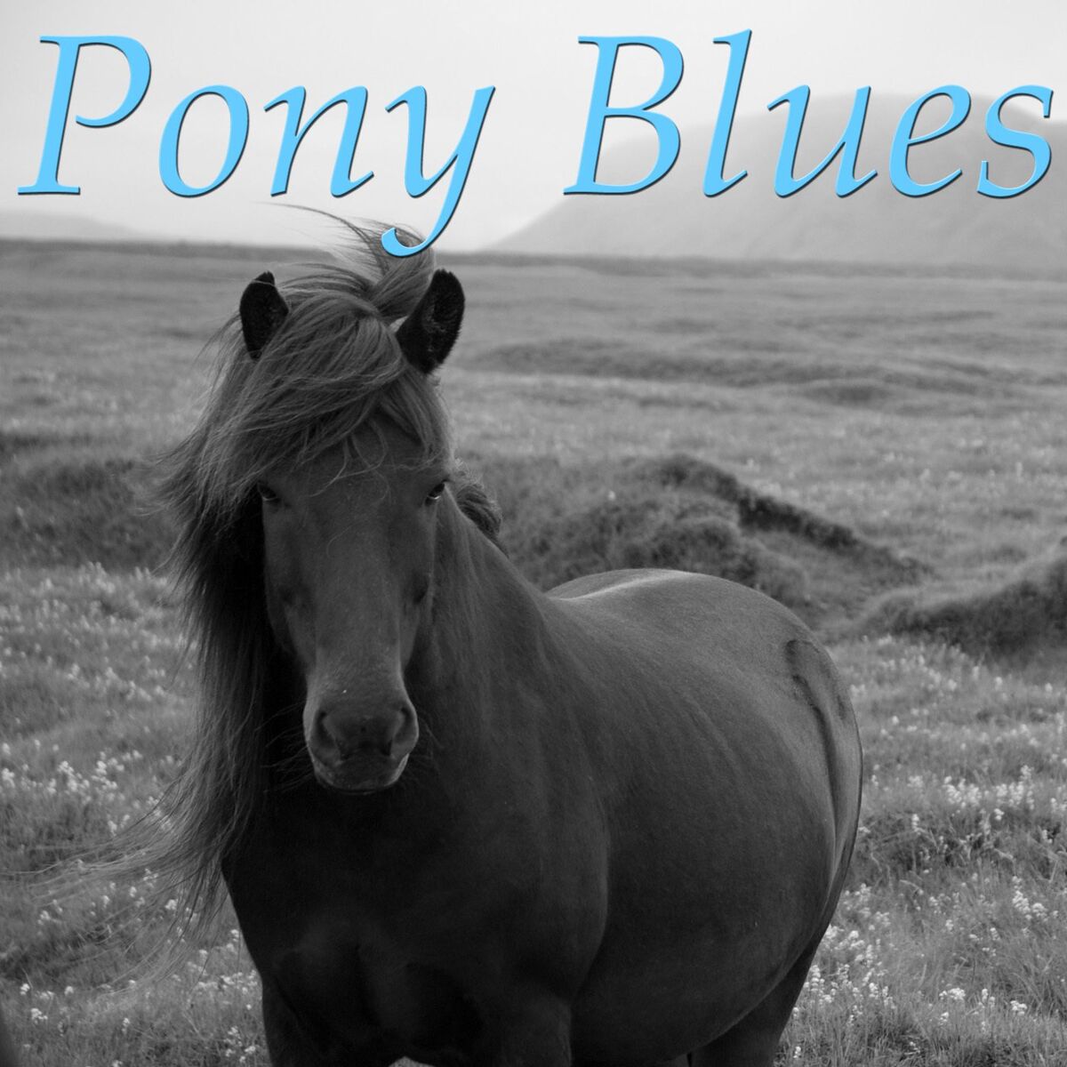 Album cover of Pony Blues