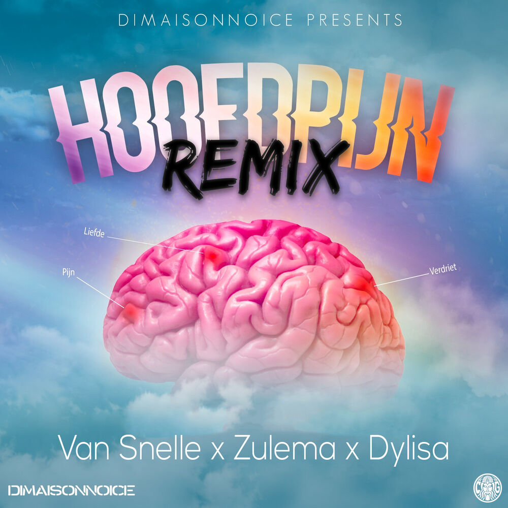 Picture of Hoofdpijn (Remix)