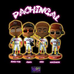 Cover of Pachingal