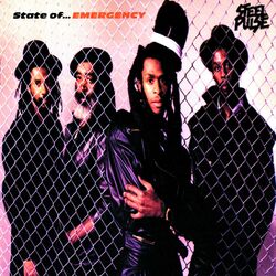 Cover of State Of Emergency