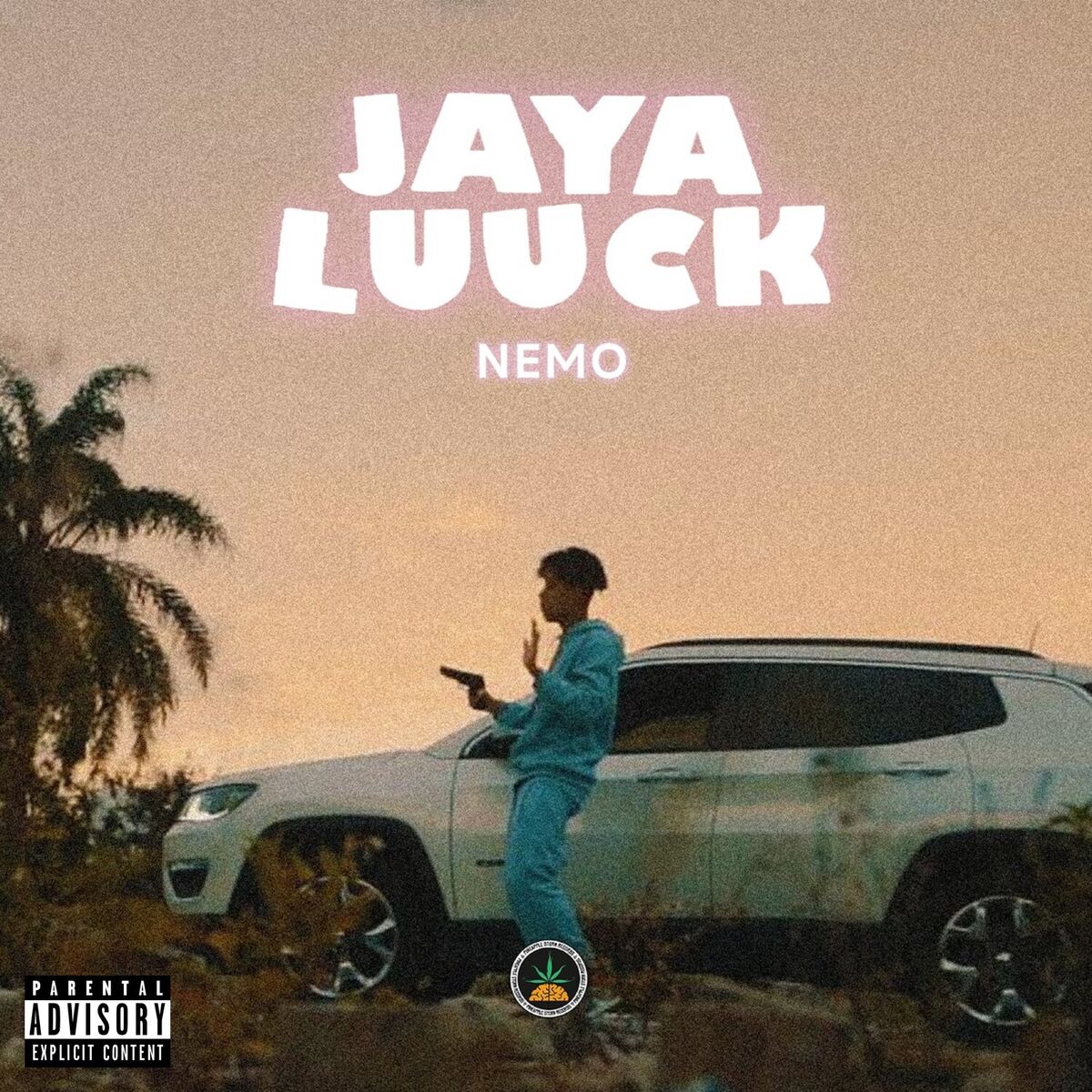 Album cover of Nemo