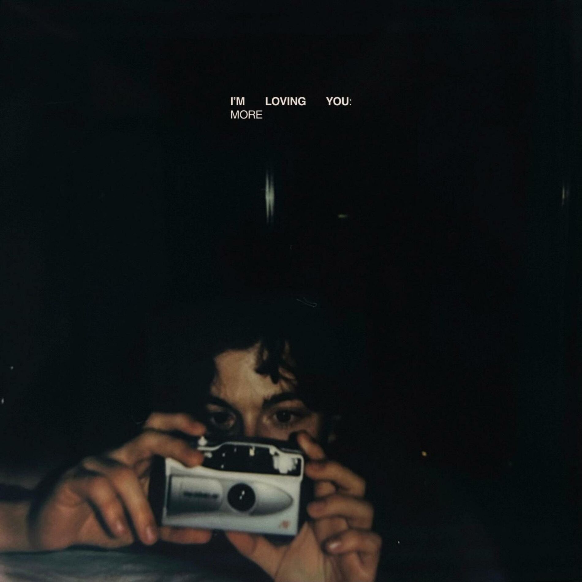 Album cover of i'm loving you: more