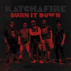 Cover of Burn It Down