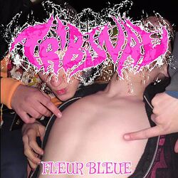 Cover of Fleur Bleue