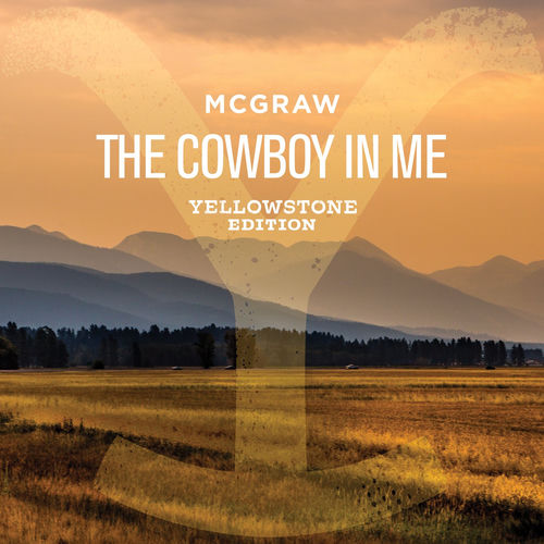 The Cowboy In Me by Tim McGraw - 72 BPM & Key N/A