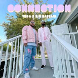 Cover of Connection