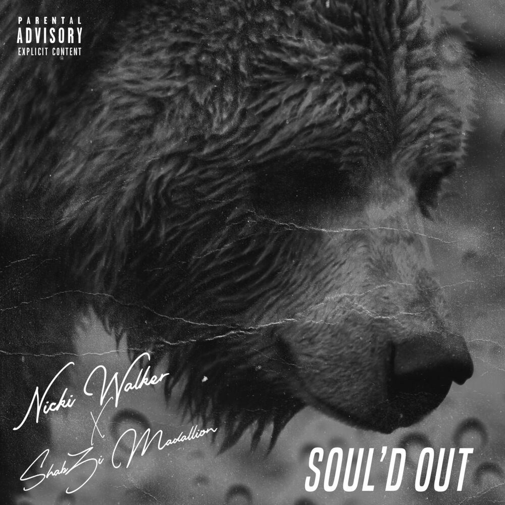 Picture of Soul'd Out