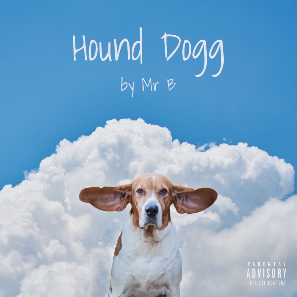 Picture of Hound Dogg