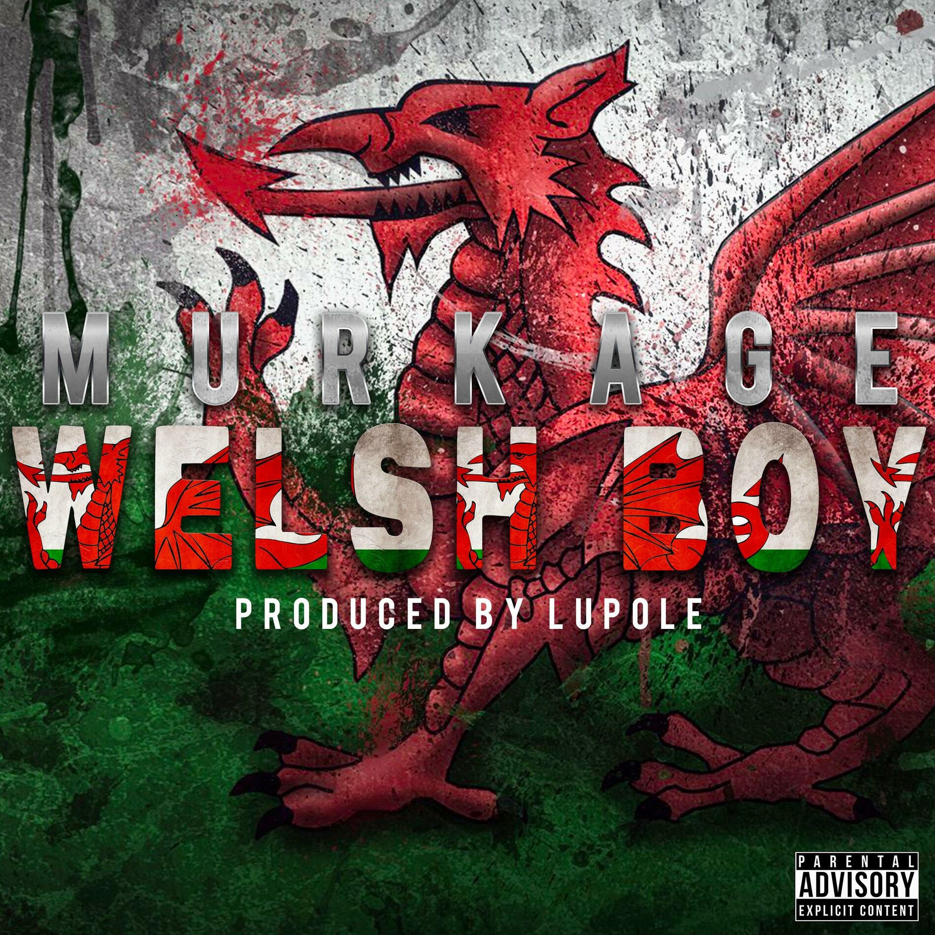 Album cover of Welsh Boy