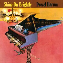 Cover of Shine On Brightly