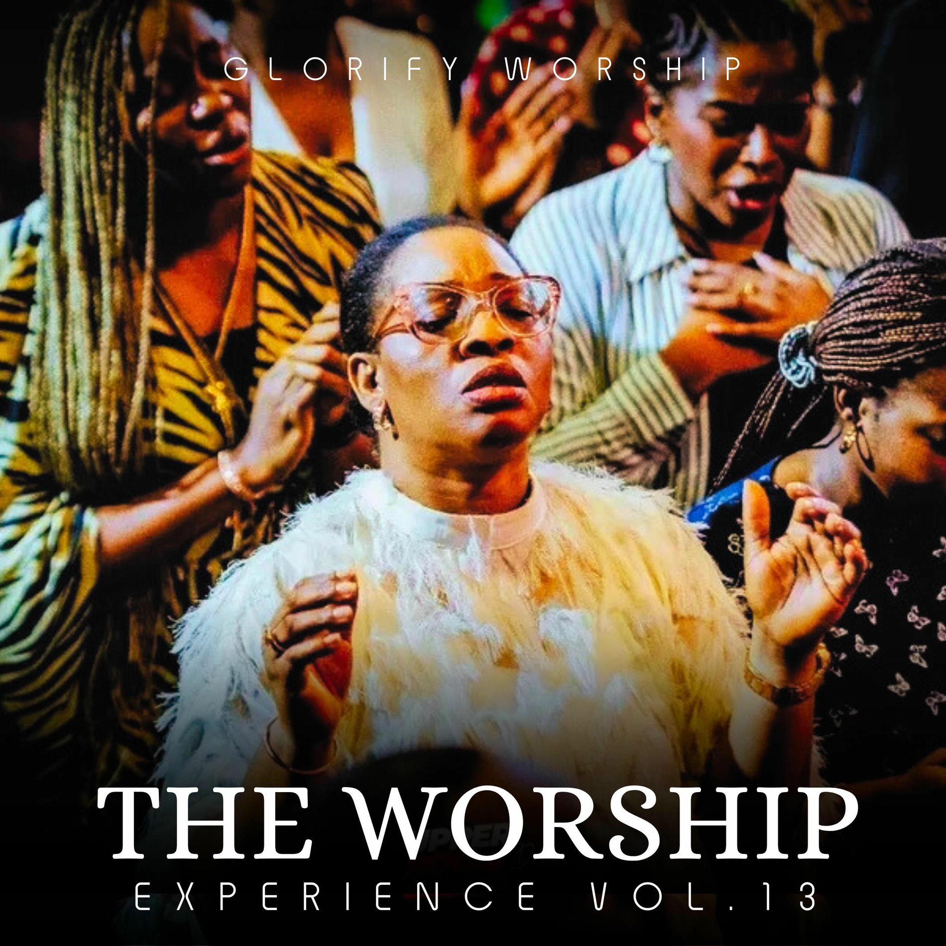 Album cover of The Worship Experience, Vol. 13