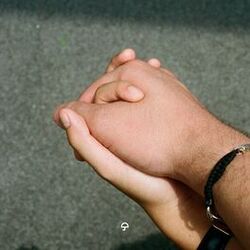 Cover of Close to You